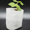 Non-Woven Fabric Seeding Nursery Bags