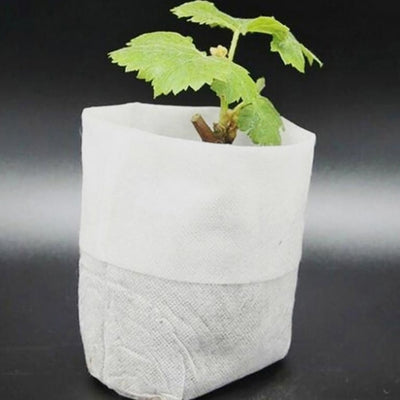 Non-Woven Fabric Seeding Nursery Bags